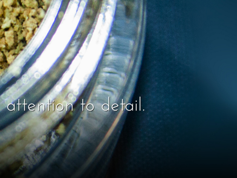 Wordpress re-design/development - Fresh Connection Full Front Page