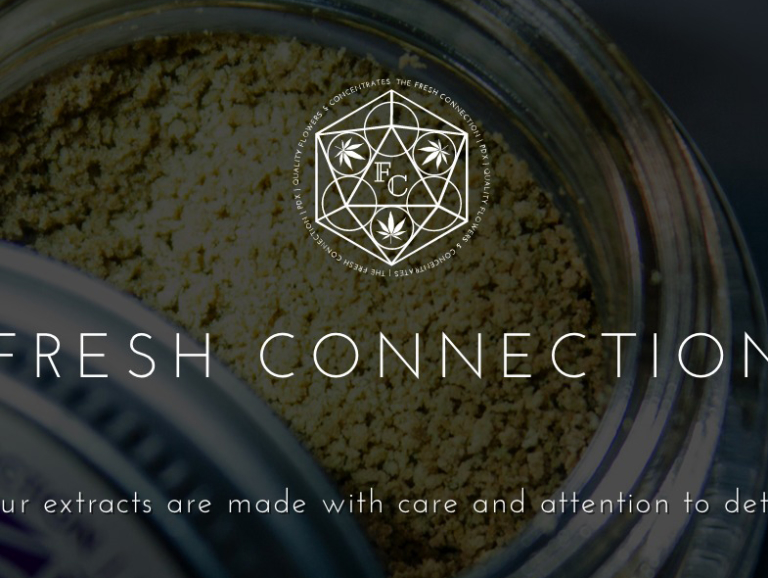 Wordpress re-design/development - Fresh Connection iPad view