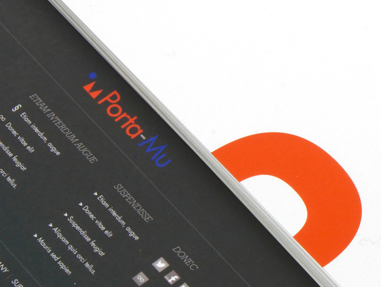 Porta-Mu App Concept - project plan design